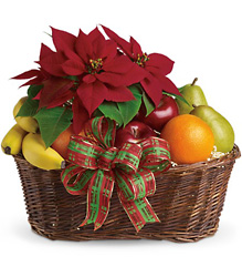 Fruit and Poinsettia Basket from Arjuna Florist in Brockport, NY